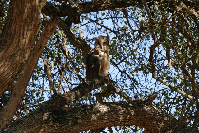 foto tanzania 2006